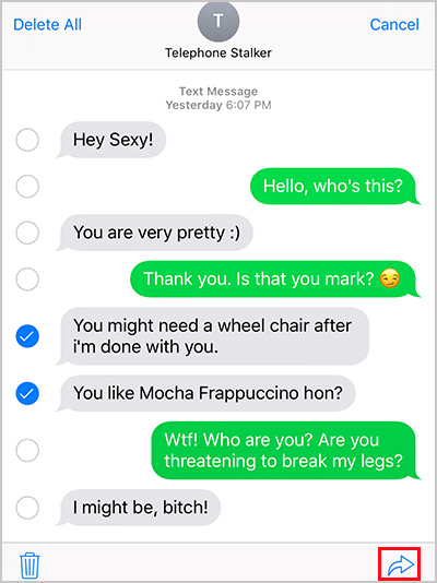 iphone text message transcript